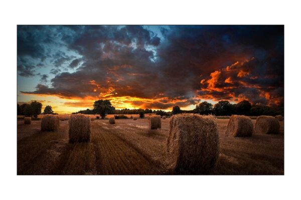 SAMSUNG VIDEO WALL VM55T-E